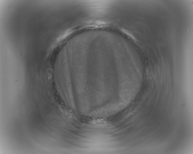 X0000066011447200603171453