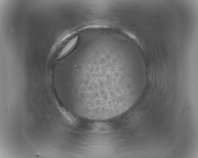 X0000066011448200603171453