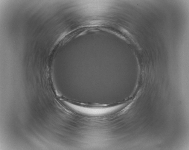 X0000066011449200603171453