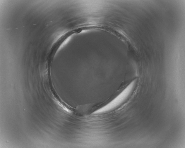 X0000066011450200603171453