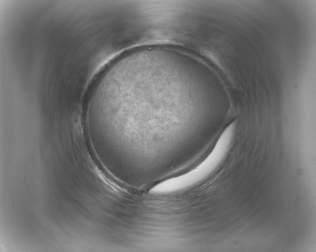 X0000066011452200603171453