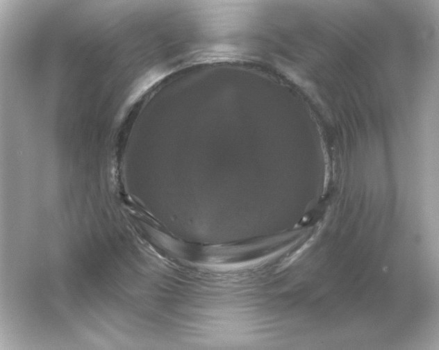 X0000066011453200603171453