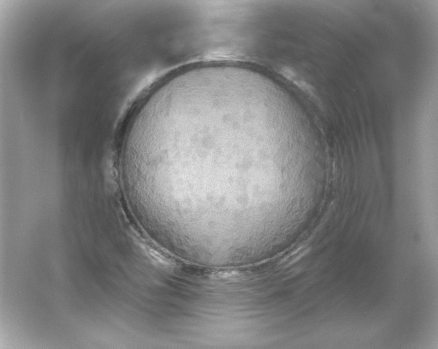 X0000066011454200603171453