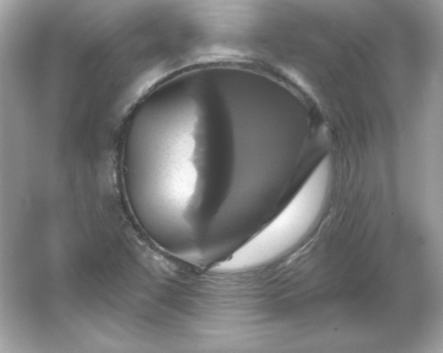 X0000066011455200603171453