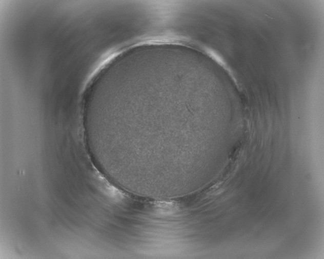 X0000066011456200603171453