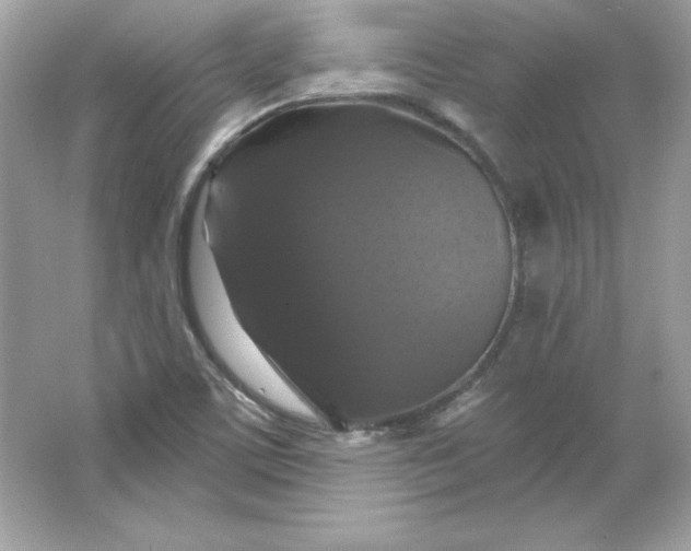 X0000066011459200603171453