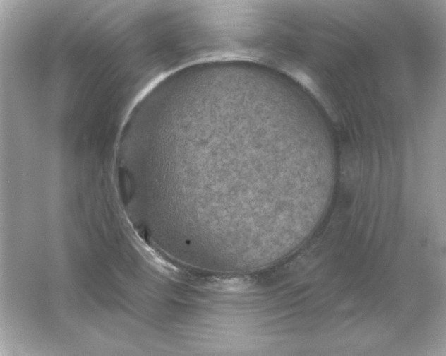 X0000066011460200603171453