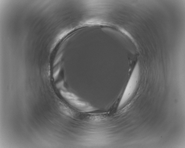 X0000066011461200603171453