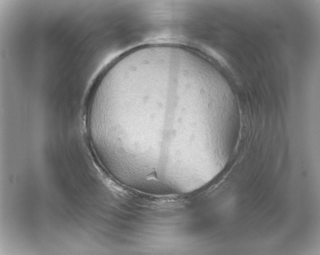 X0000066011462200603171453