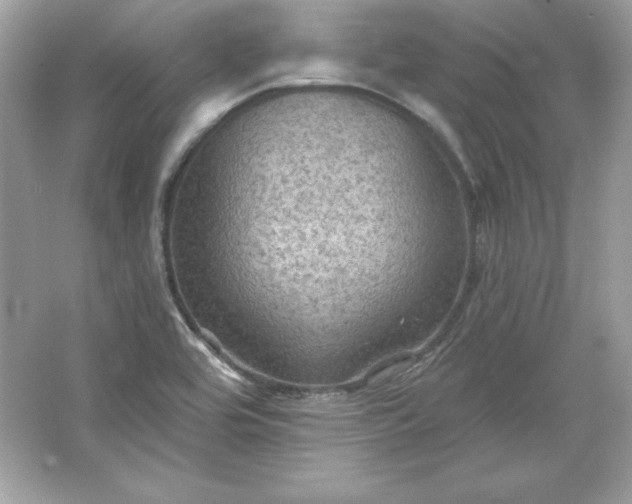 X0000066011464200603171453