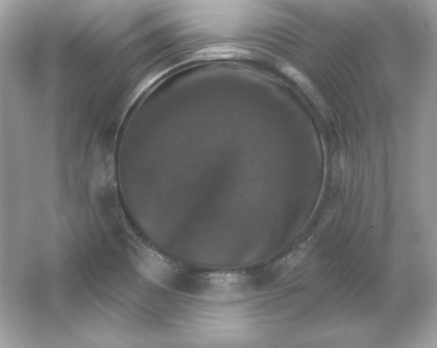 X0000066011465200603171453