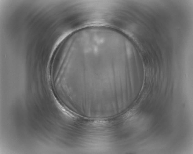 X0000066011466200603171453