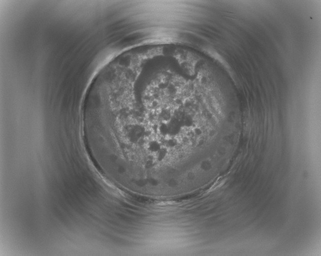 X0000066011467200603171453