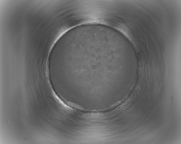 X0000066011468200603171453