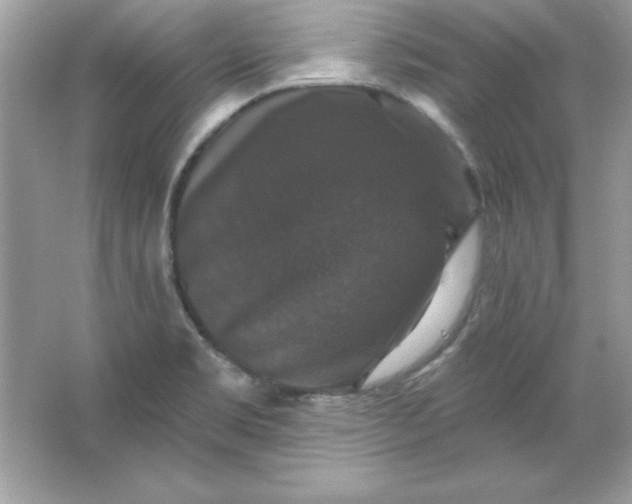 X0000066011469200603171453