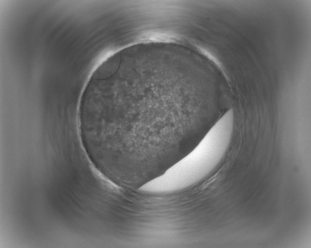 X0000066011471200603171453