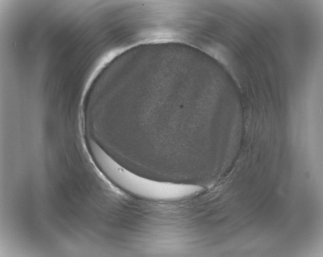 X0000066011472200603171453