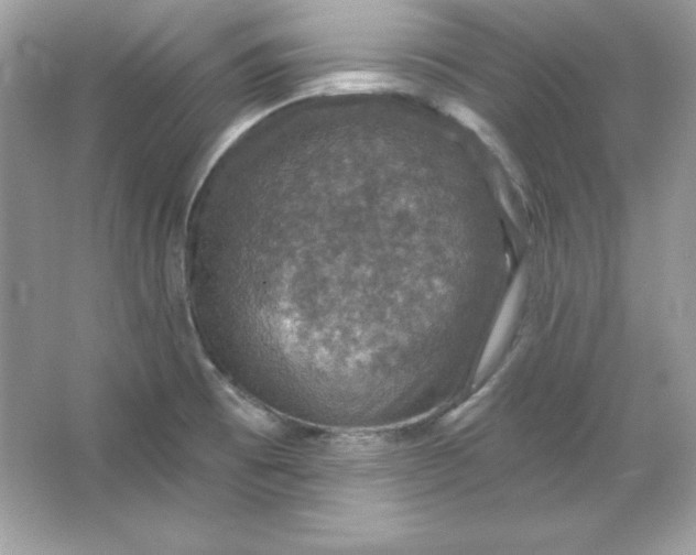 X0000066011473200603171453