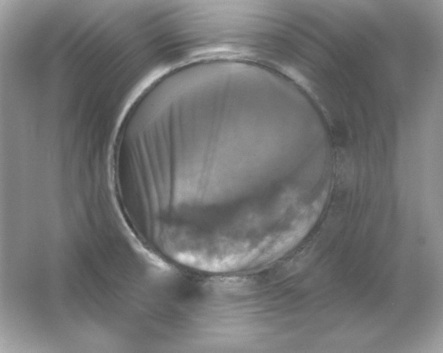 X0000066011474200603171453