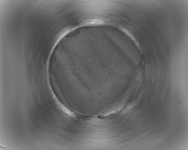 X0000066011475200603171453