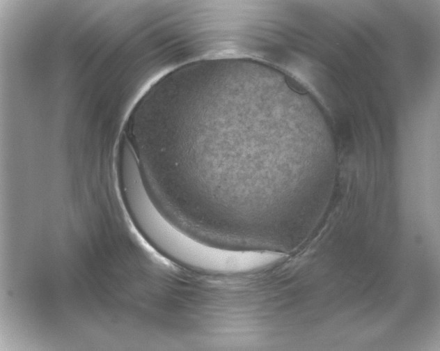 X0000066011476200603171453