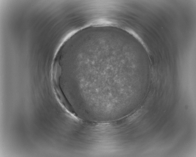 X0000066011477200603171453