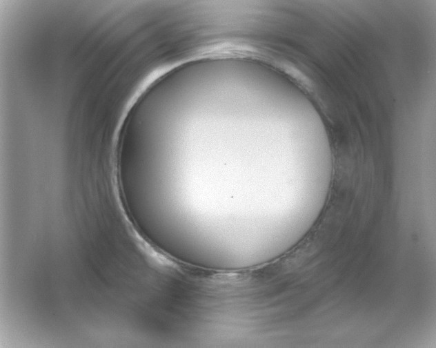 X0000066011478200603171453