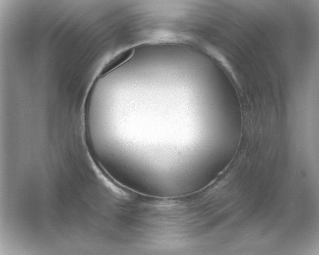 X0000066011479200603171453