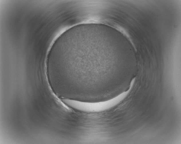 X0000066011480200603171453