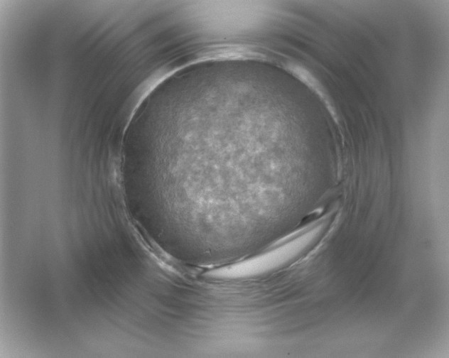 X0000066011481200603171453