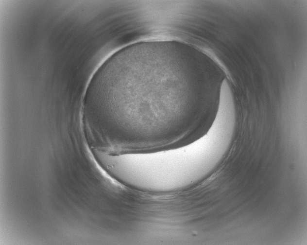 X0000066011484200603171453