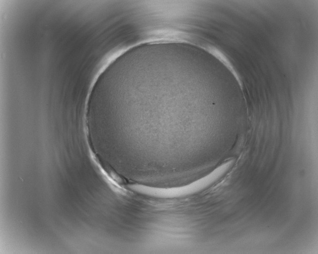 X0000066011485200603171453