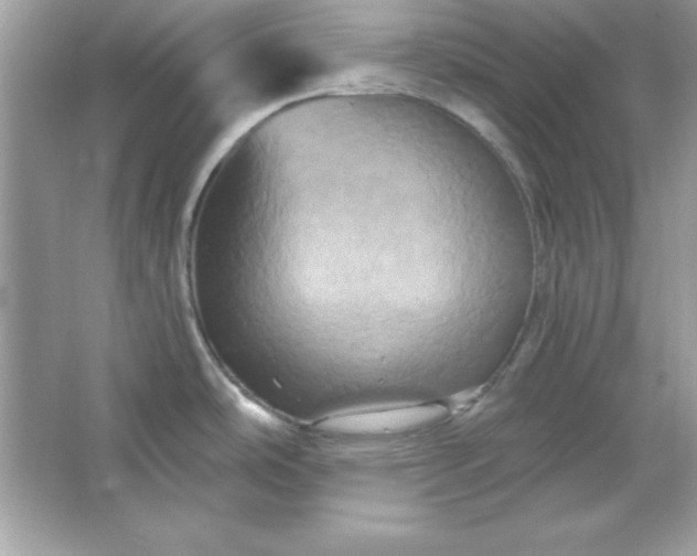 X0000066011486200603171453