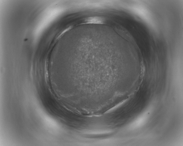 X0000066011487200603171453