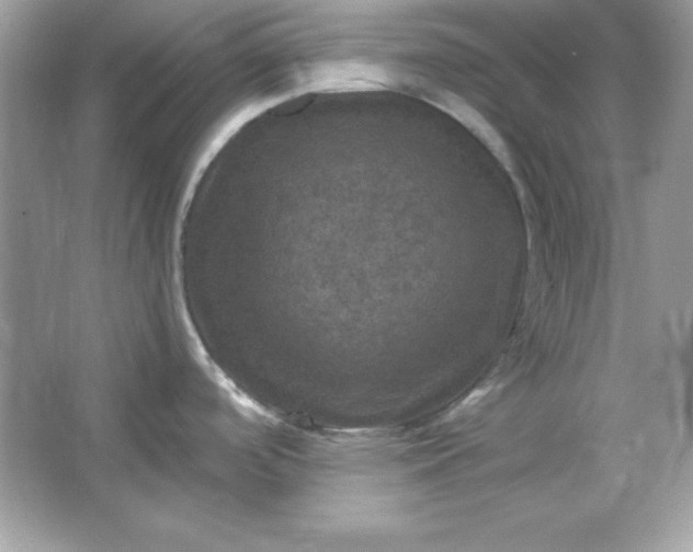 X0000066011488200603171453