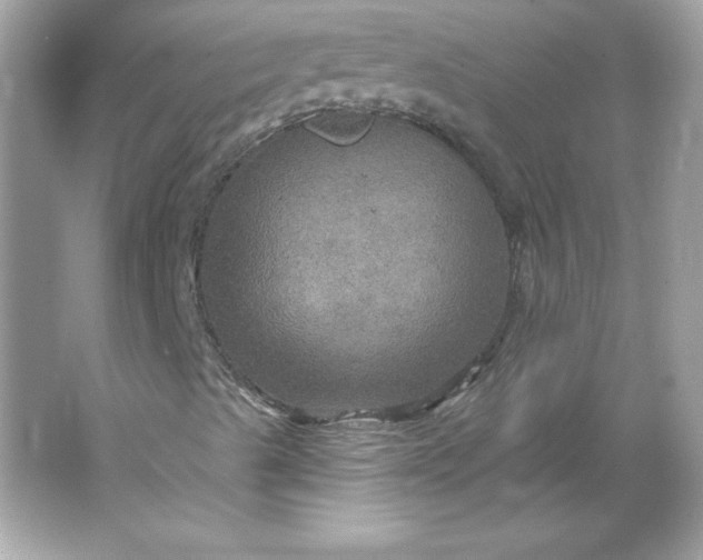 X0000066011489200603171452