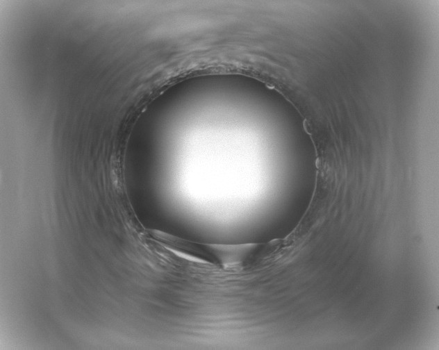 X0000066011490200603171452