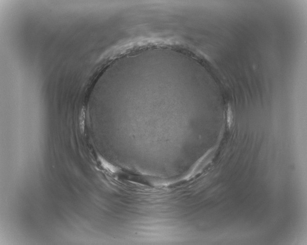 X0000066011492200603171452