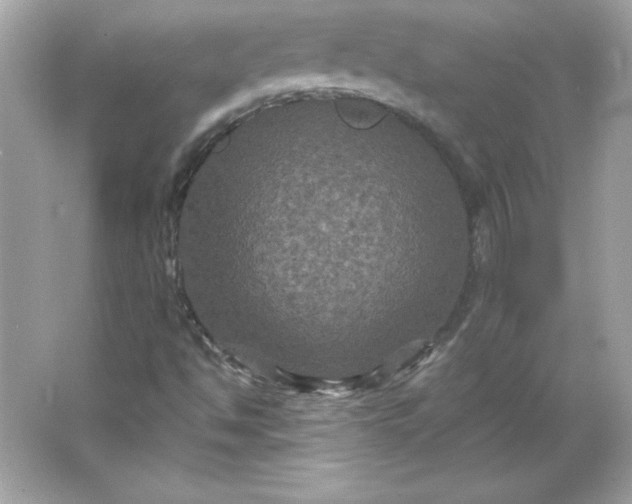 X0000066011494200603171452