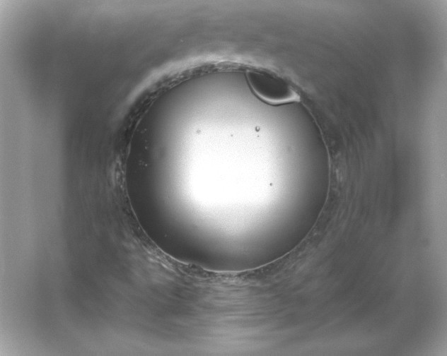 X0000066011495200603171452