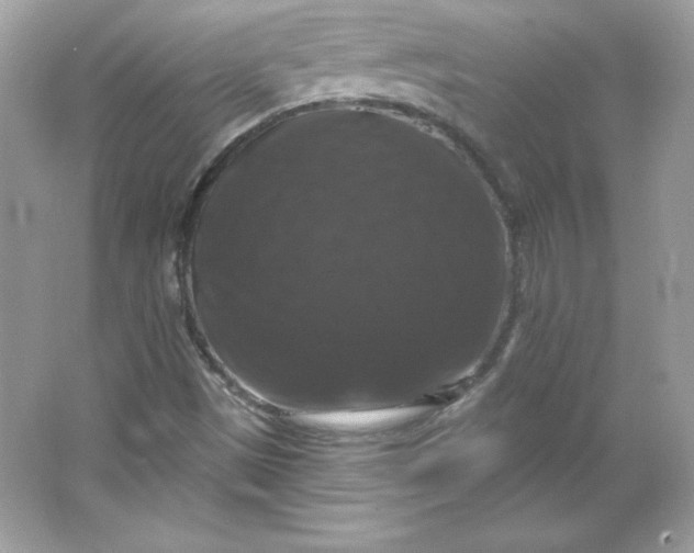 X0000066011497200603171452