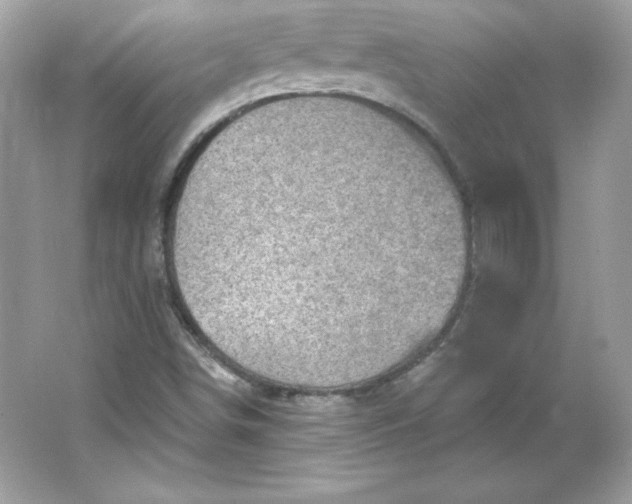 X0000066011498200603171452