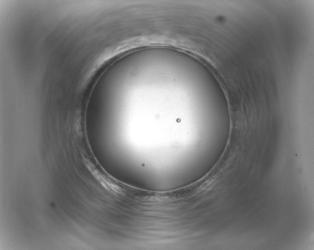 X0000066011499200603171452