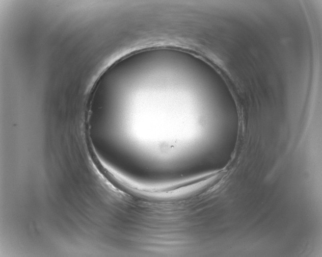 X0000066011500200603171452