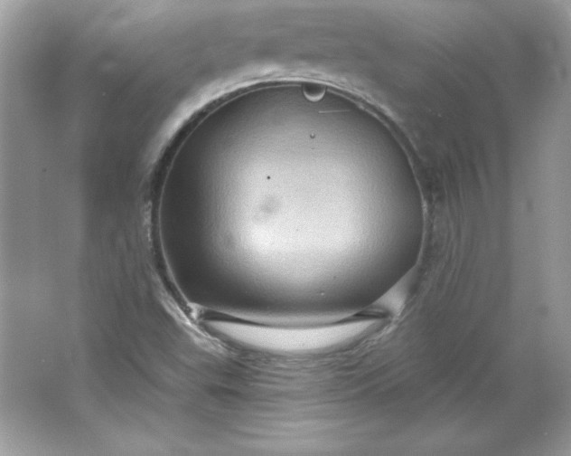 X0000066011503200603171452