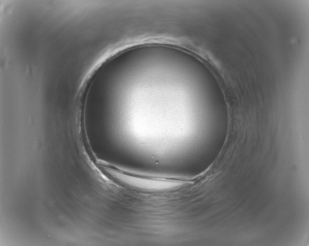 X0000066011504200603171452