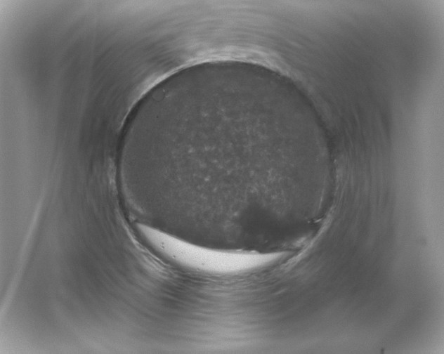 X0000066011505200603171452