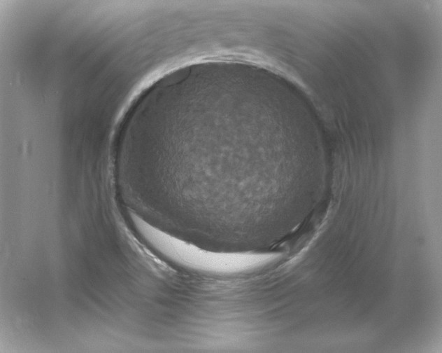 X0000066011506200603171452