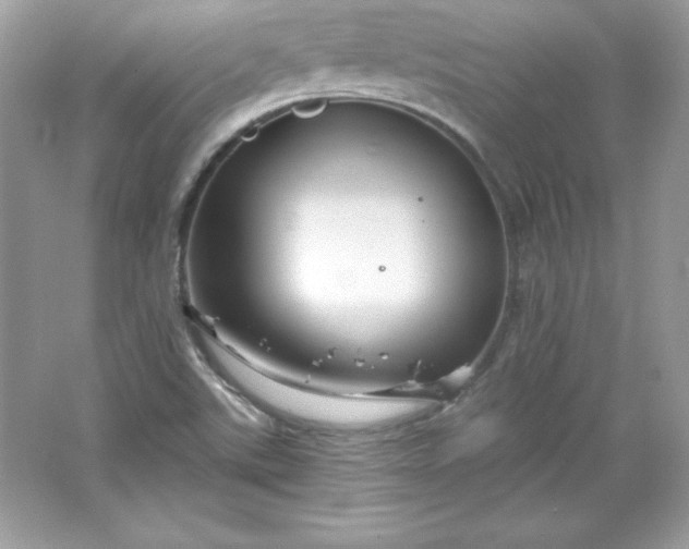 X0000066011507200603171452