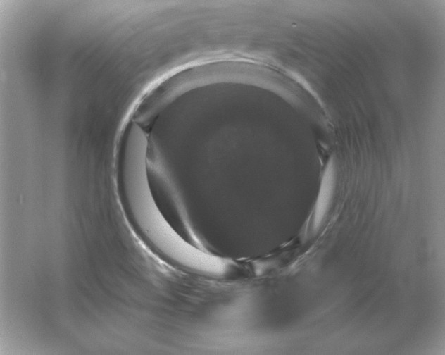 X0000066011508200603171452